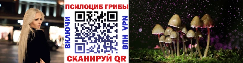 купить  сайты  Курск  Псилоцибиновые грибы мицелий 